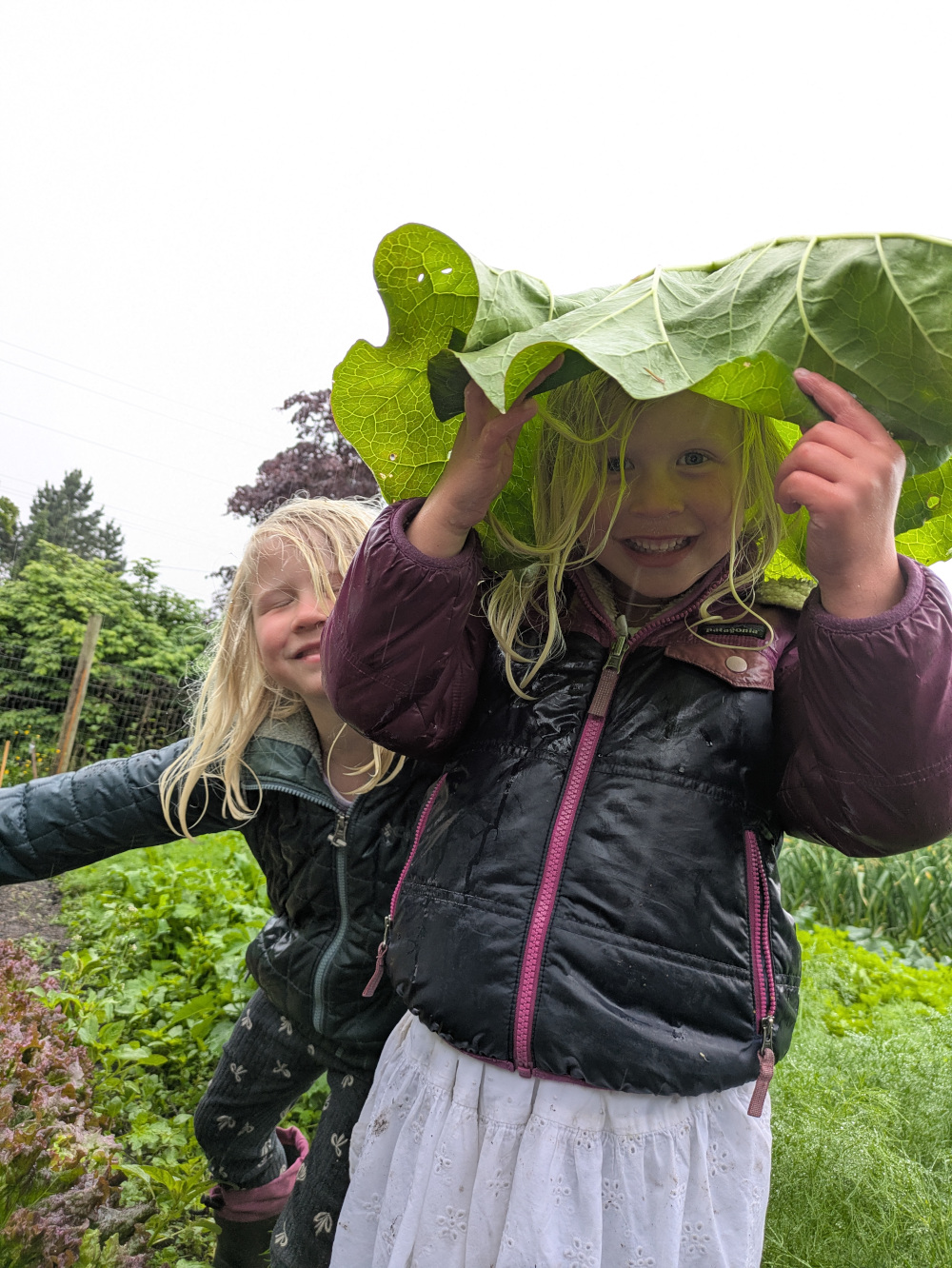 a picture of kids w rhubarb-leaf hat
